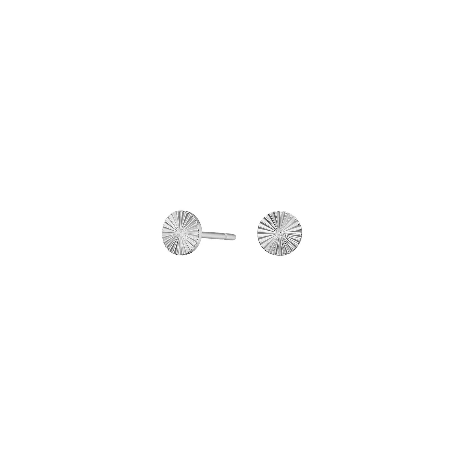 Titanium ørestikker cirkel